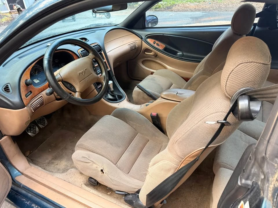1994 Ford SN95 Mustang - Image 5 of 10