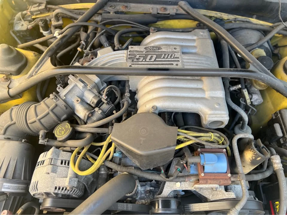 1994 Ford SN95 Mustang - Image 15 of 16