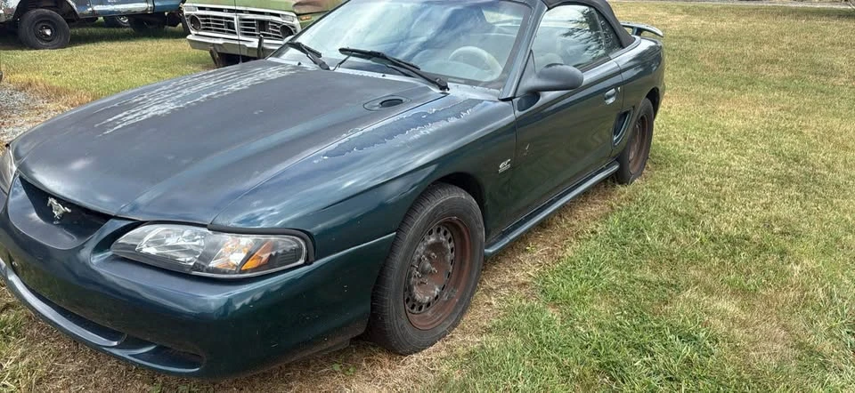 1994 Ford SN95 Mustang - Image 3 of 7