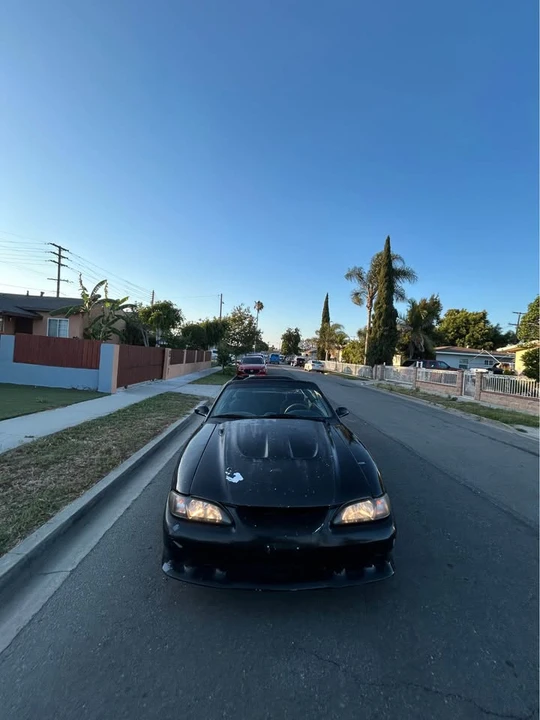 1994 Ford SN95 Mustang - Image 3 of 7