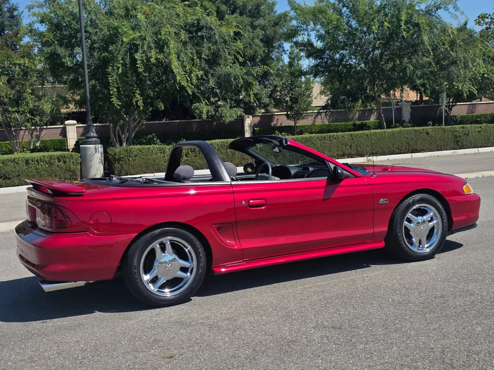 1994 Ford SN95 Mustang - Image 8 of 24