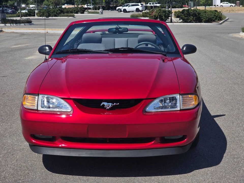 1994 Ford SN95 Mustang - Image 6 of 23