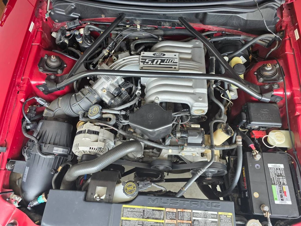 1994 Ford SN95 Mustang - Image 22 of 24