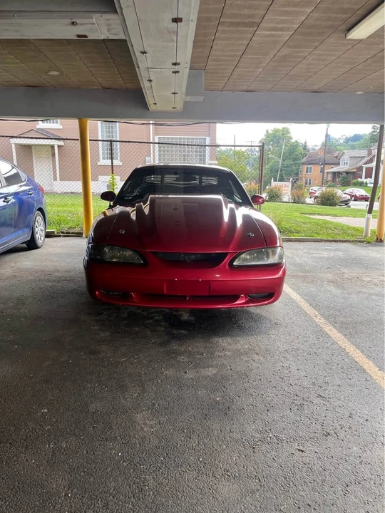 1994 Ford SN95 Mustang - Image 2 of 8