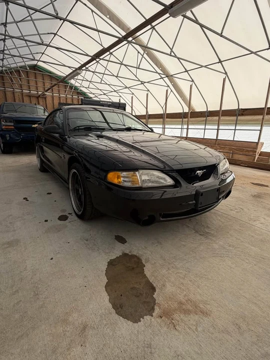 1994 Ford SN95 Mustang - Image 2 of 6