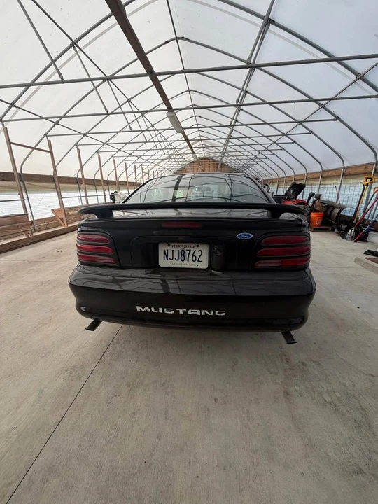 1994 Ford SN95 Mustang - Image 5 of 6