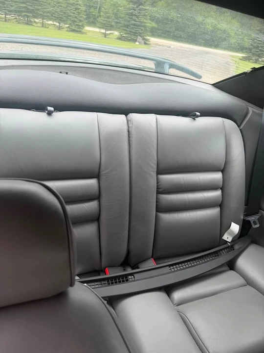 1994 Ford SN95 Mustang - Image 8 of 20