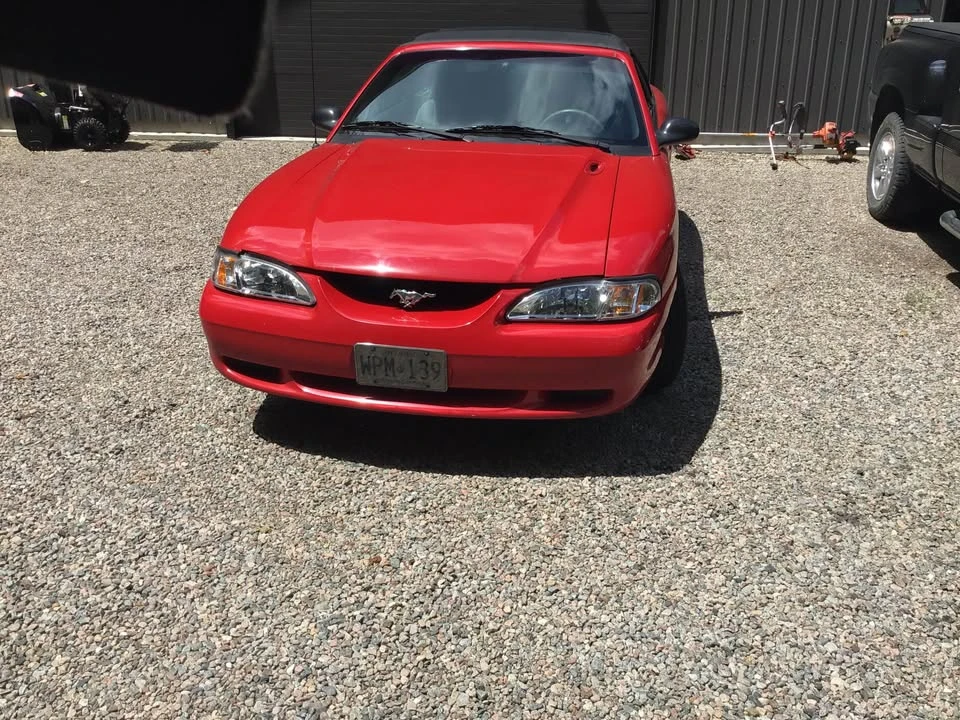 1994 Ford SN95 Mustang - Image 2 of 8