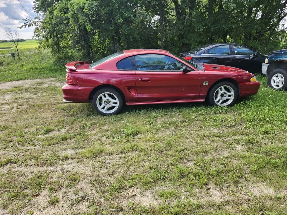 1994 Ford SN95 Mustang - Image 3 of 11