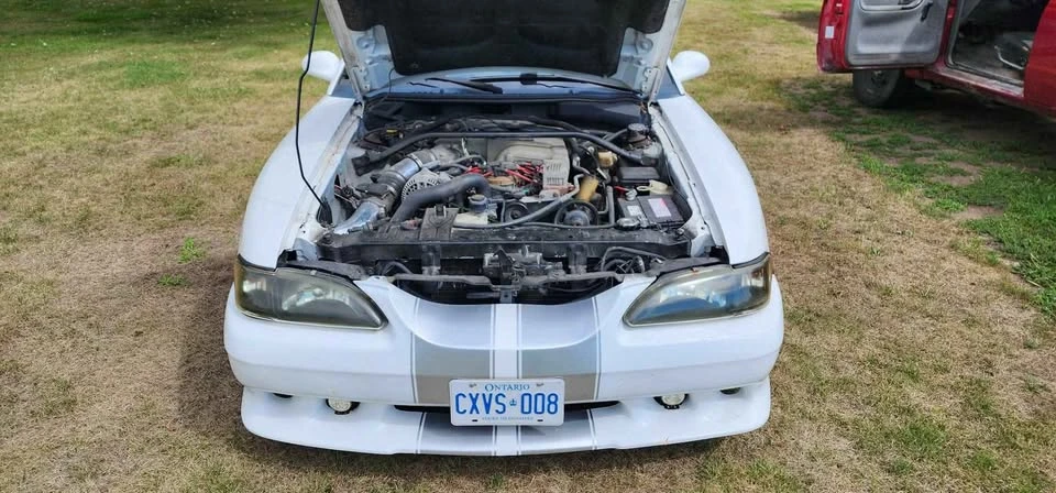 1994 Ford SN95 Mustang - Image 2 of 10