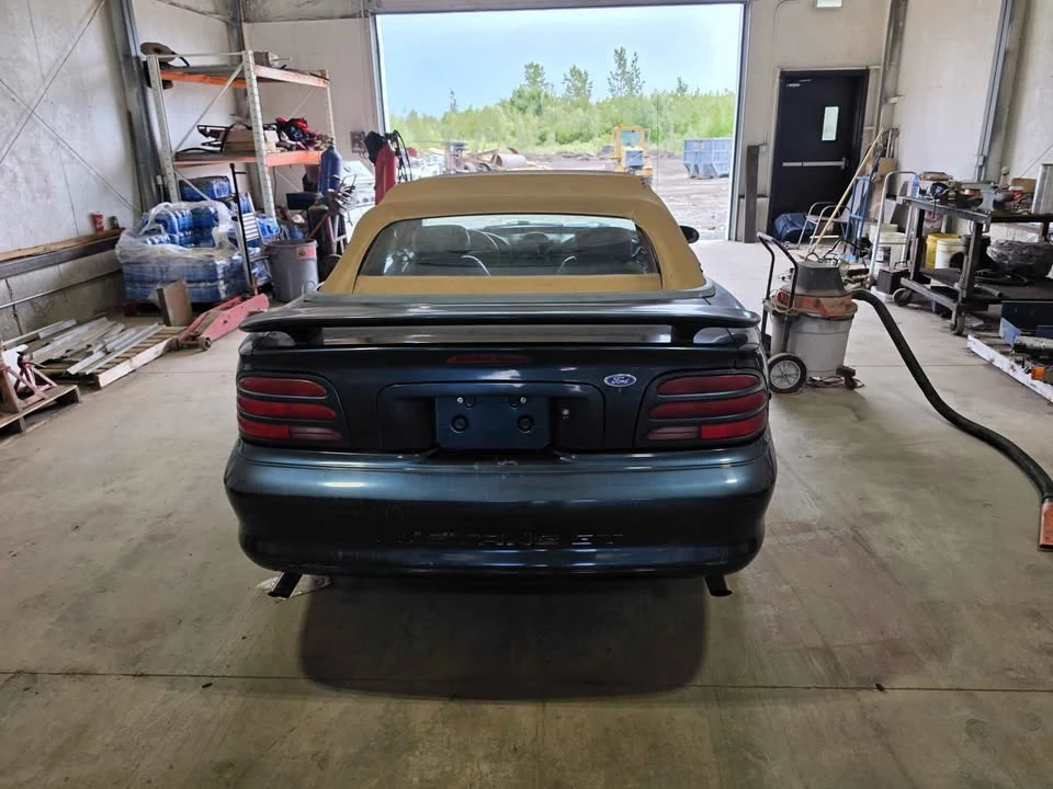1994 Ford SN95 Mustang - Image 3 of 7
