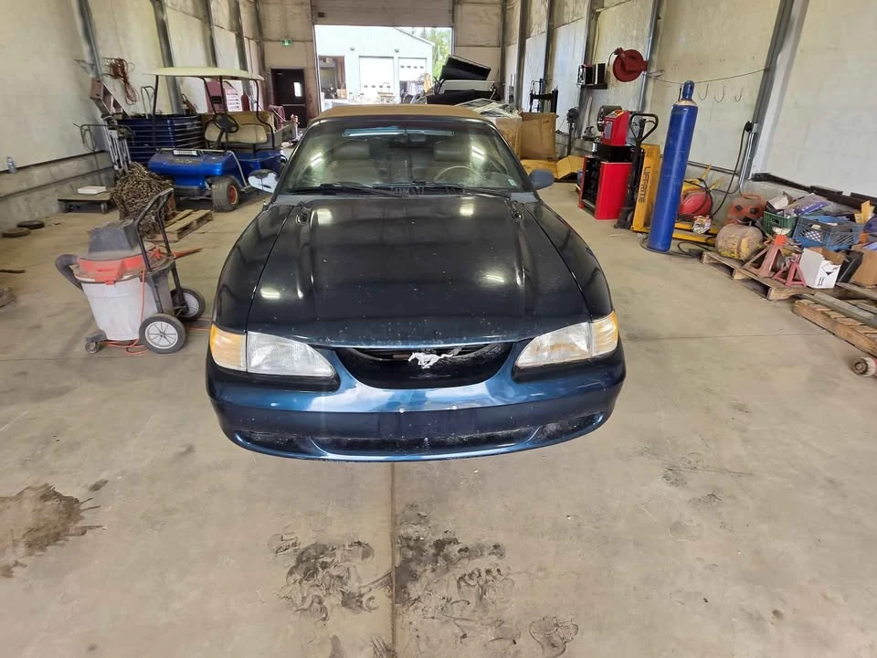 1994 Ford SN95 Mustang - Image 4 of 7
