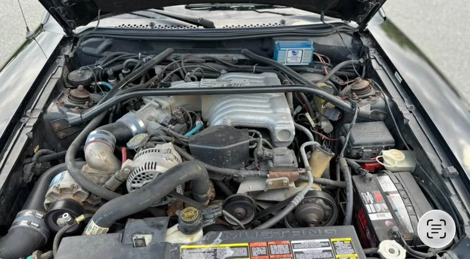 1994 Ford SN95 Mustang - Image 3 of 7