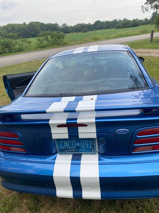 1994 Ford SN95 Mustang - Image 4 of 9