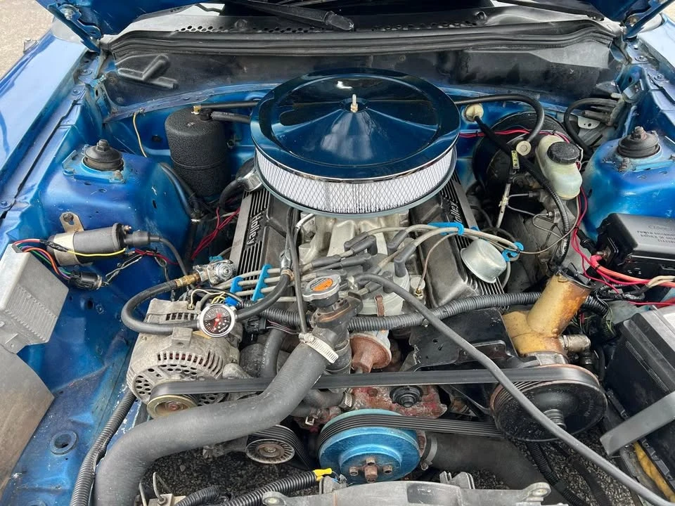 1994 Ford SN95 Mustang - Image 14 of 14