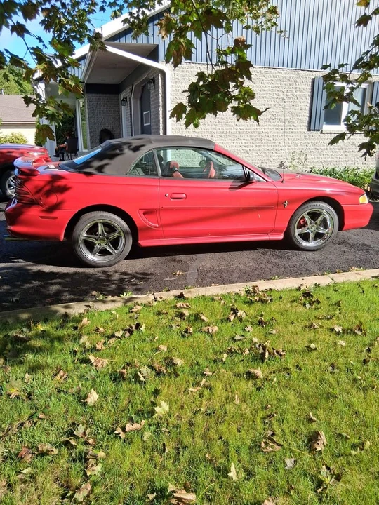1994 Ford SN95 Mustang - Image 3 of 5