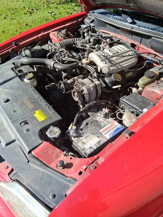 1994 Ford SN95 Mustang - Image 4 of 5