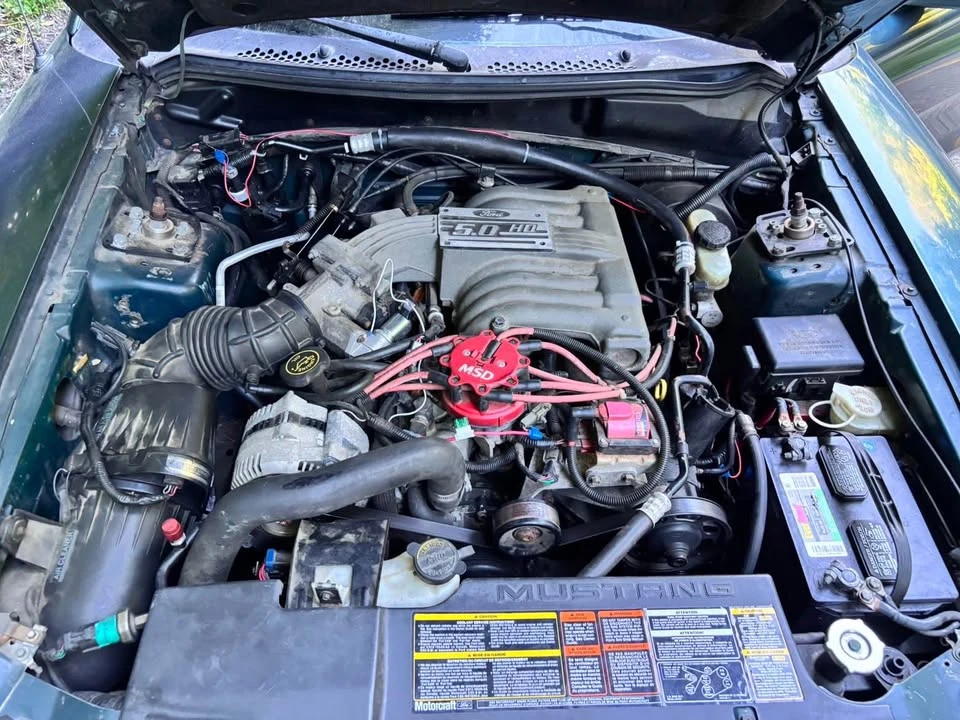 1994 Ford SN95 Mustang - Image 12 of 13