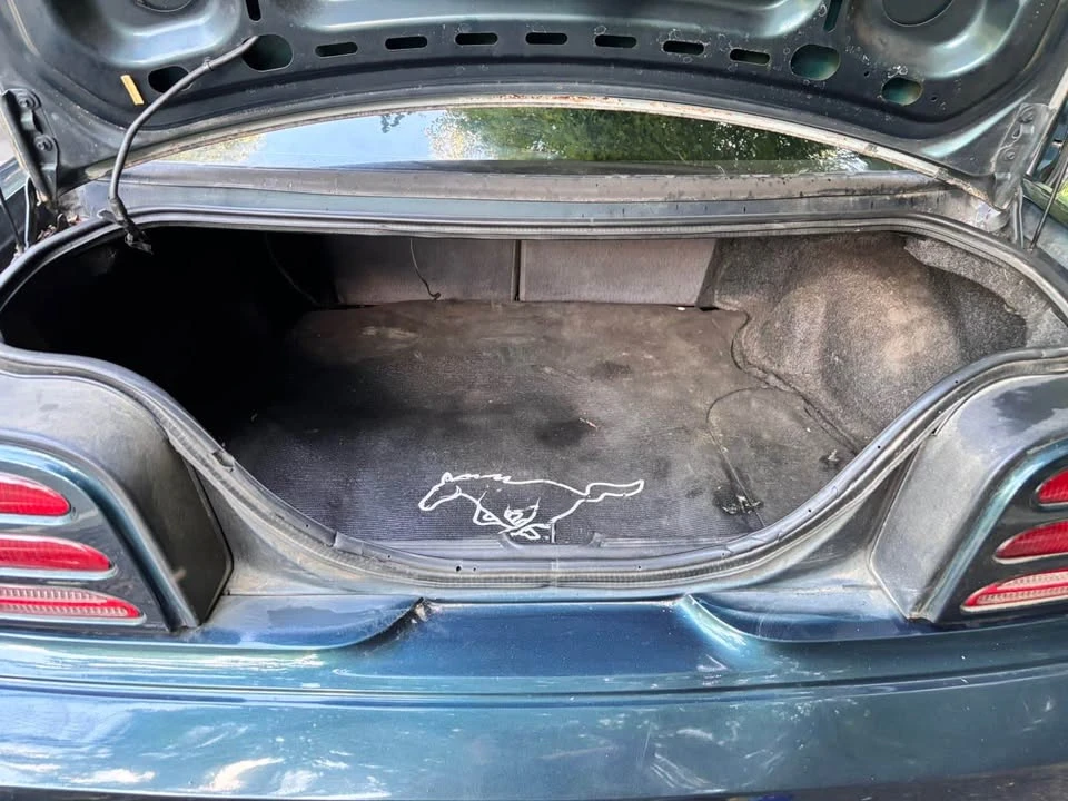 1994 Ford SN95 Mustang - Image 6 of 13