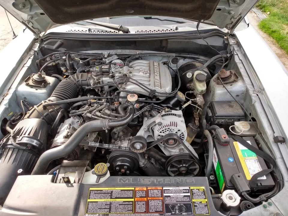 1994 Ford SN95 Mustang - Image 6 of 8