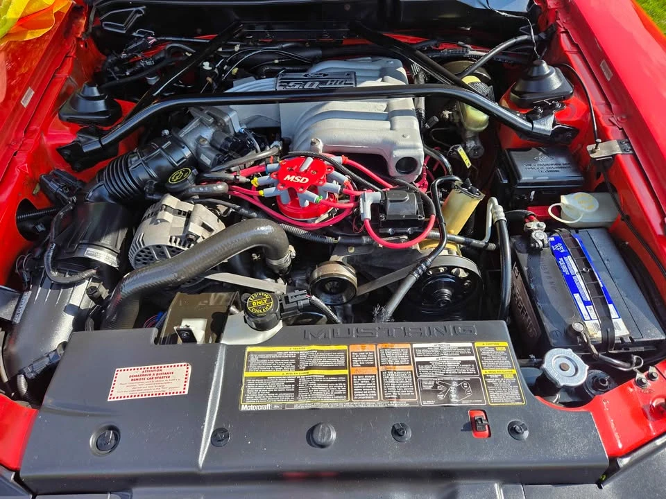 1994 Ford SN95 Mustang - Image 5 of 5
