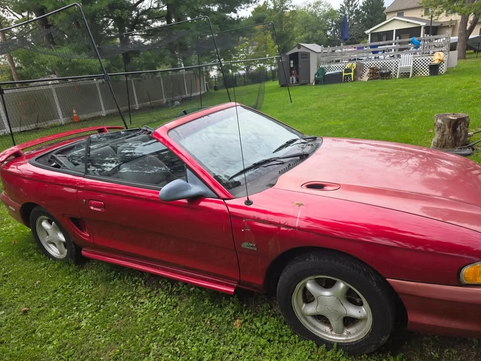 1994 Ford SN95 Mustang - Image 4 of 6