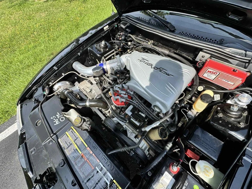 1994 Ford SN95 Mustang Cobra - Image 12 of 19