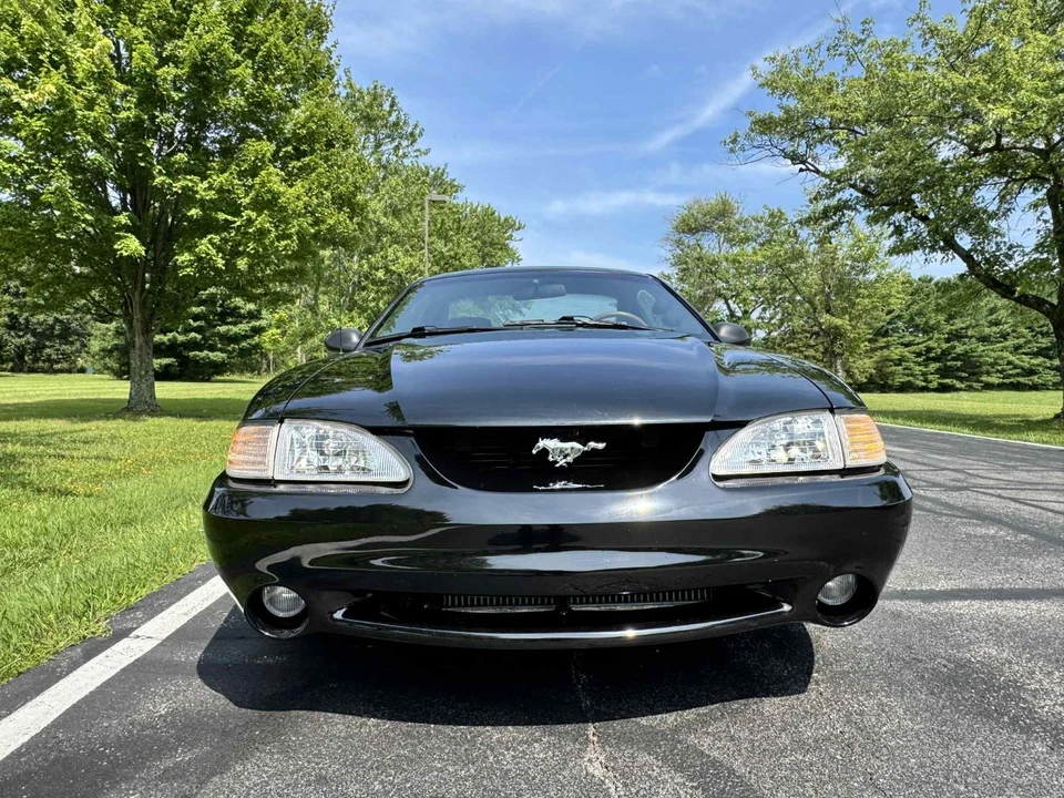 1994 Ford SN95 Mustang Cobra - Image 3 of 19