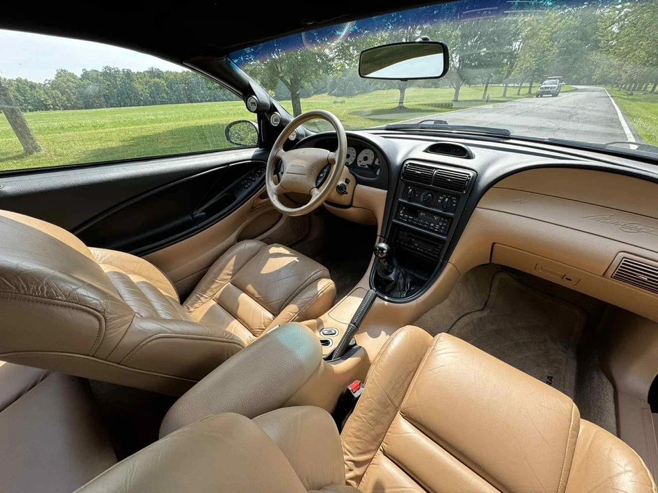 1994 Ford SN95 Mustang Cobra - Image 15 of 19