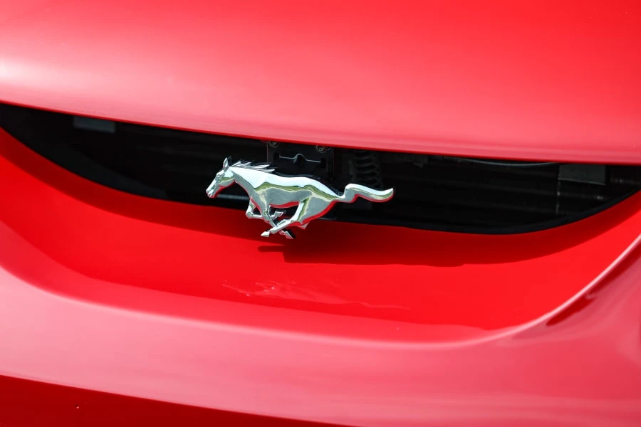 1994 Ford SN95 Mustang Cobra - Image 9 of 31