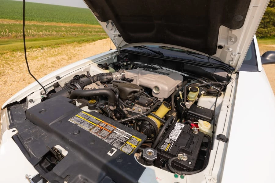 1994 Ford SN95 Mustang Cobra - Image 18 of 18