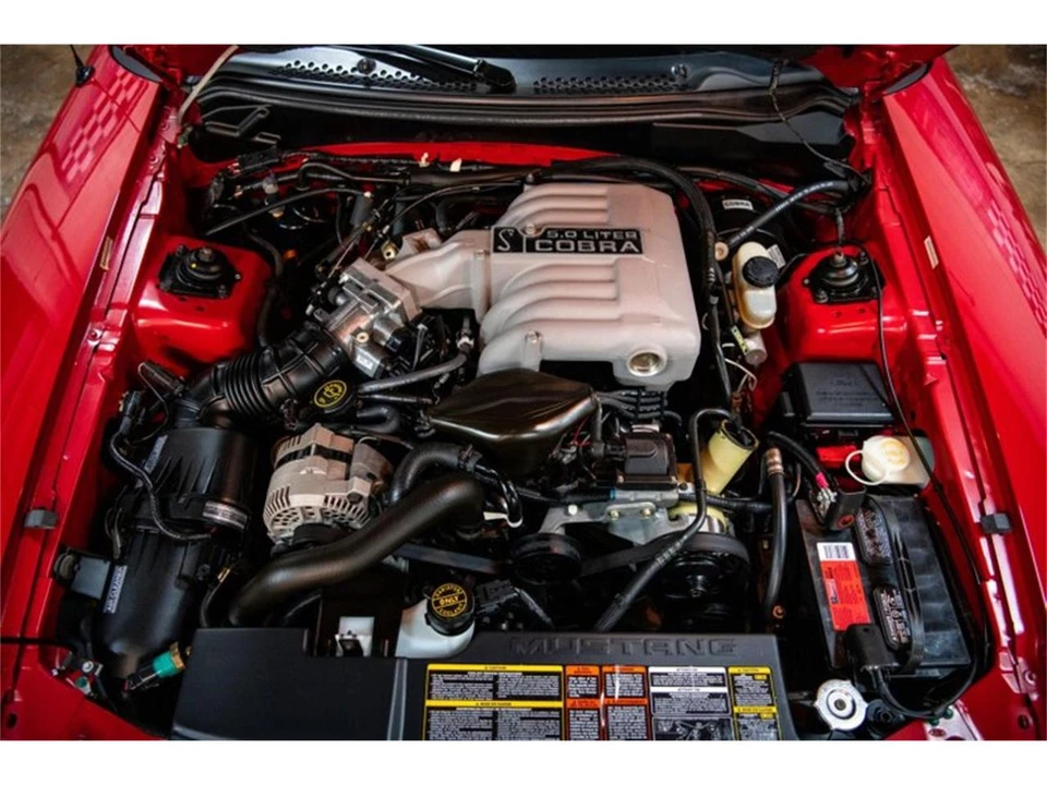 1994 Ford SN95 Mustang Cobra - Image 8 of 31
