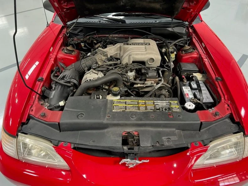 1994 Ford SN95 Mustang Cobra - Image 18 of 19
