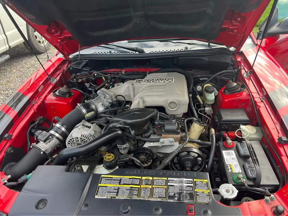 1994 Ford SN95 Mustang Cobra - Image 4 of 12
