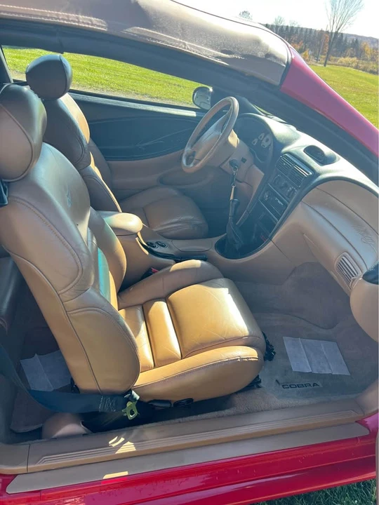 1994 Ford SN95 Mustang Cobra - Image 7 of 12