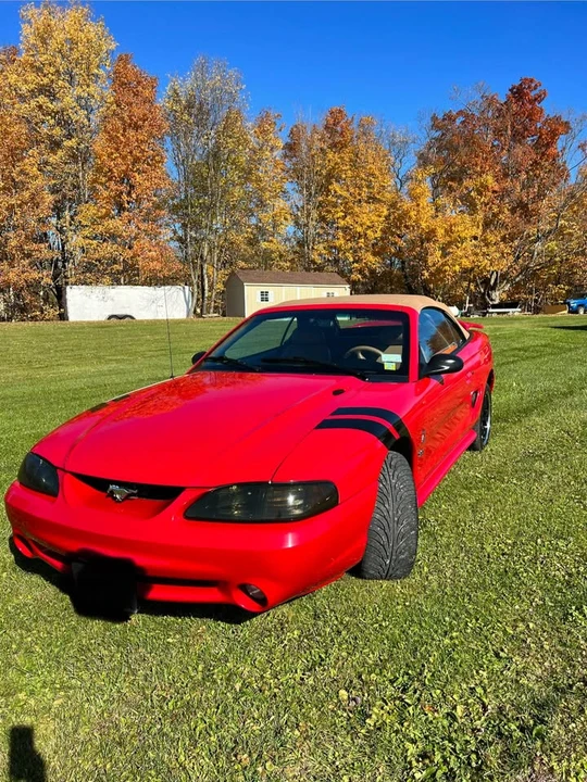 1994 Ford SN95 Mustang Cobra - Image 3 of 12