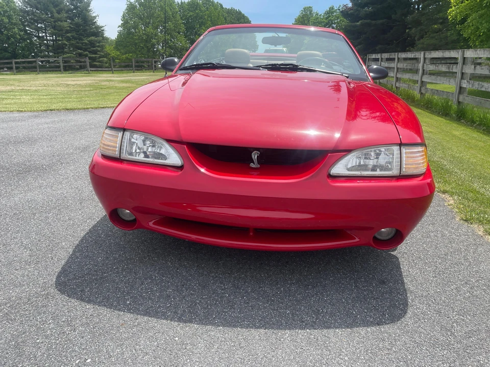 1994 Ford SN95 Mustang Cobra - Image 6 of 31
