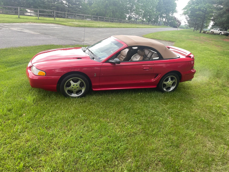 1994 Ford SN95 Mustang Cobra - Image 19 of 31