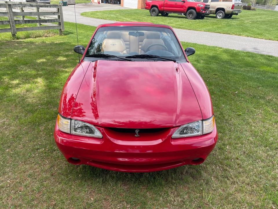 1994 Ford SN95 Mustang Cobra - Image 7 of 31