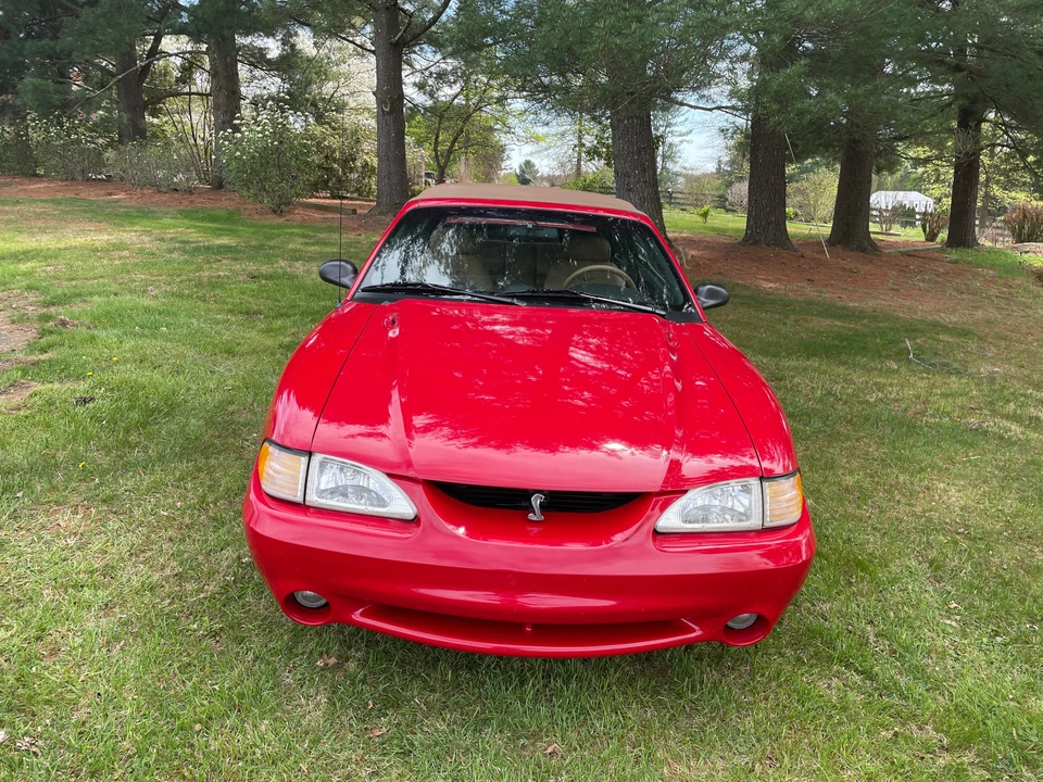 1994 Ford SN95 Mustang Cobra - Image 16 of 31