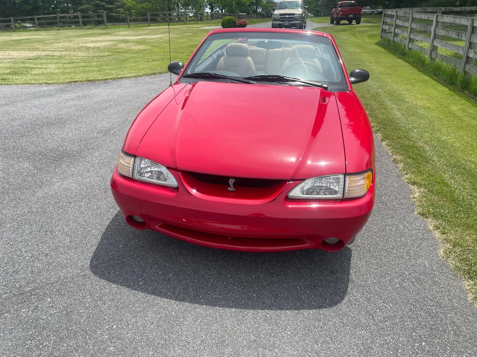 1994 Ford SN95 Mustang Cobra - Image 8 of 31