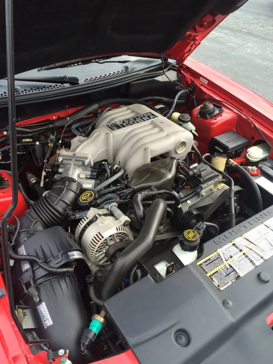 1994 Ford SN95 Mustang Cobra - Image 6 of 8