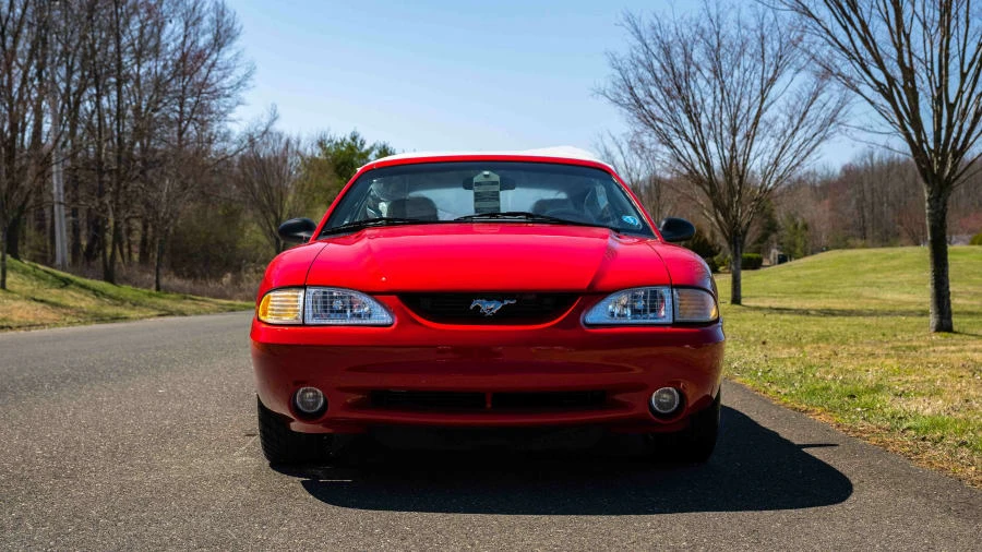 1994 Ford SN95 Mustang Cobra - Image 9 of 31