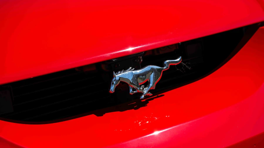 1994 Ford SN95 Mustang Cobra - Image 14 of 31