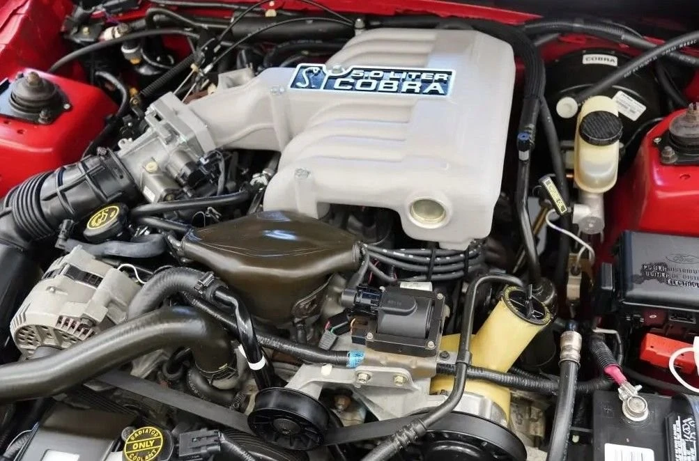 1994 Ford SN95 Mustang Cobra - Image 6 of 6