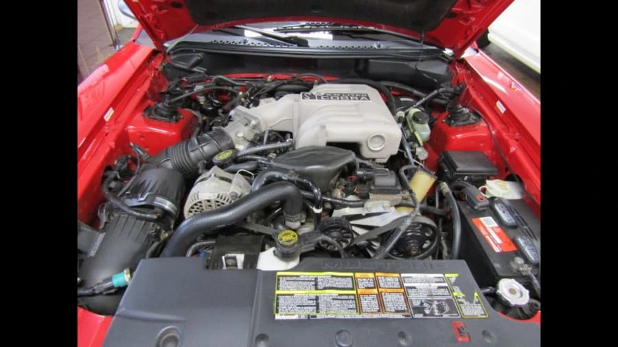 1994 Ford SN95 Mustang Cobra - Image 5 of 6