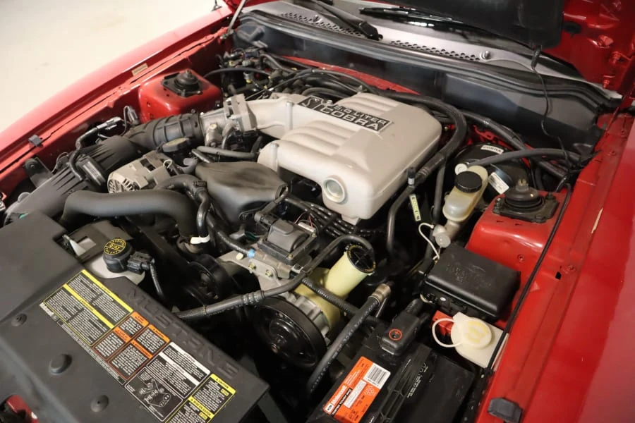 1994 Ford SN95 Mustang Cobra - Image 7 of 13