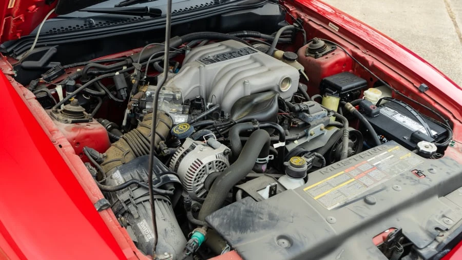 1994 Ford SN95 Mustang Cobra - Image 8 of 13