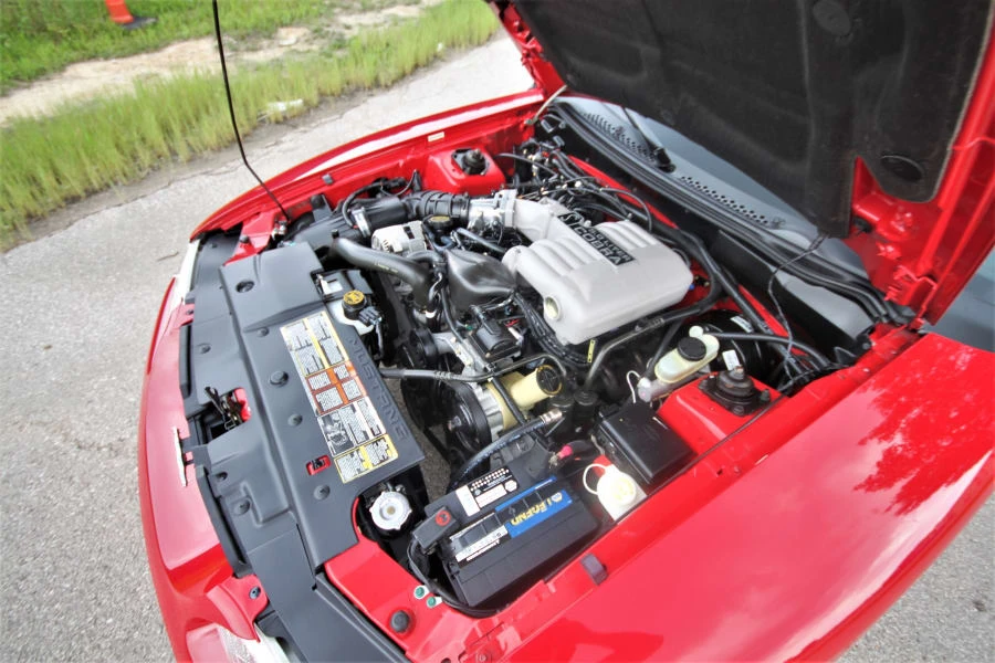1994 Ford SN95 Mustang Cobra - Image 8 of 12