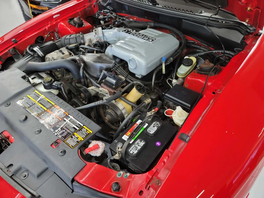 1994 Ford SN95 Mustang Cobra - Image 19 of 20
